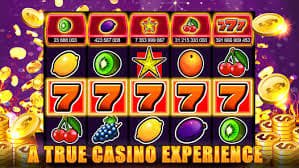 79r bet